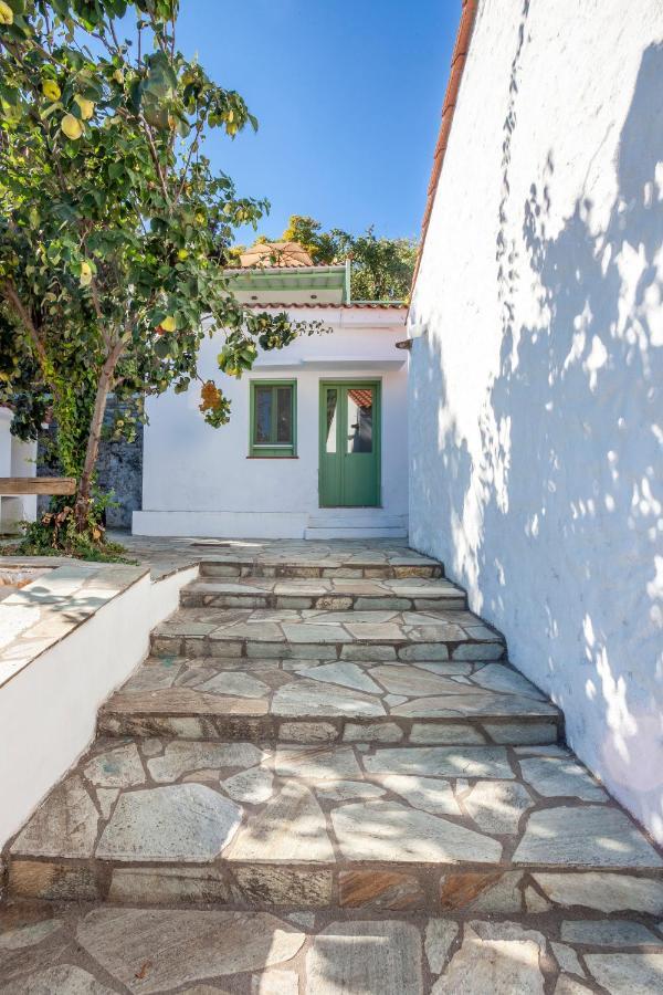 Olea Skopelos Villas With Swimming Pools & Sea View Panormos  Екстер'єр фото