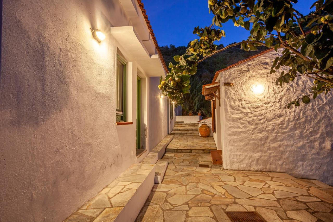 Olea Skopelos Villas With Swimming Pools & Sea View Panormos  Екстер'єр фото