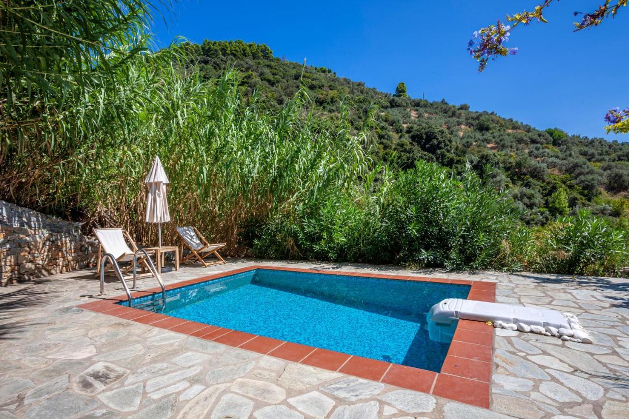 Olea Skopelos Villas With Swimming Pools & Sea View Panormos  Екстер'єр фото