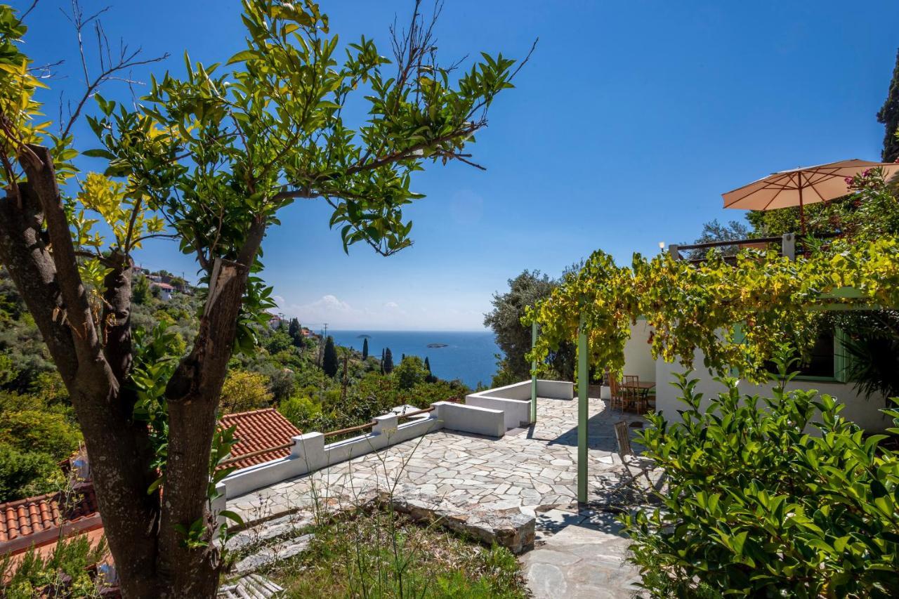 Olea Skopelos Villas With Swimming Pools & Sea View Panormos  Екстер'єр фото