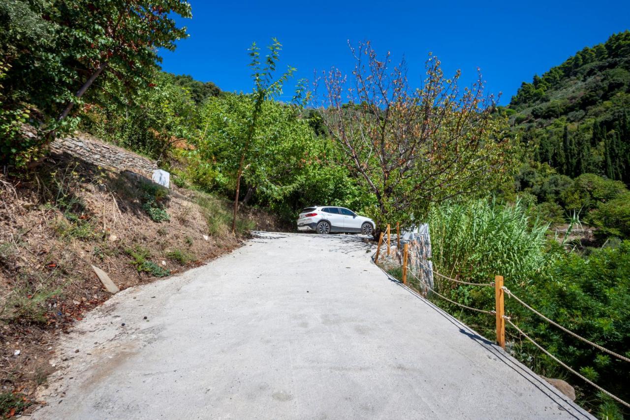 Olea Skopelos Villas With Swimming Pools & Sea View Panormos  Екстер'єр фото