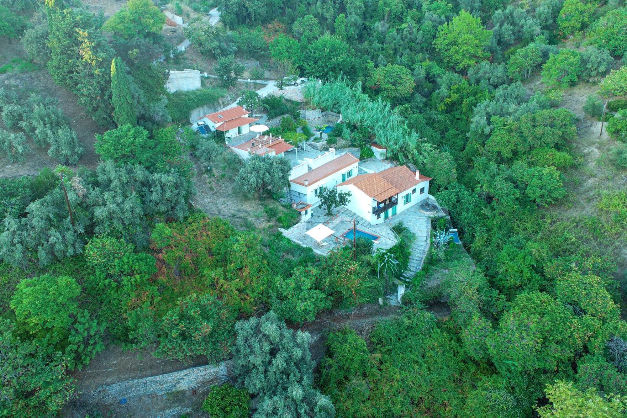 Olea Skopelos Villas With Swimming Pools & Sea View Panormos  Екстер'єр фото